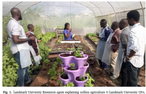 Perspectives on communicating 21st-Century agricultural innovations to Nigerian rural farmers