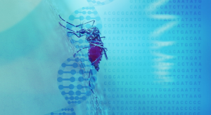 Indian Government Urged to Invest in Gene Drive Research