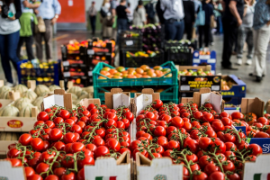 New research urges data-driven action for agriculture and food systems change