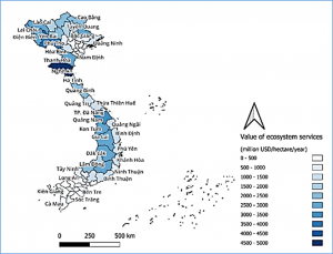 Ecosystem services may provide large economic values in forests in Kenya and Vietnam