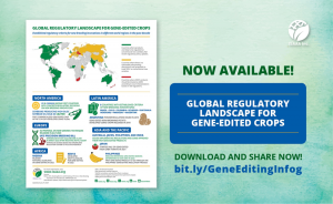 New ISAAA Infographic Shows Global Regulatory Landscape for Gene-Edited Crops