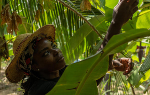 Investing in women and girls makes economic sense and accelerates progress for millions of people