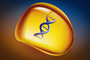 MIT Researchers Develop Amber-Like Polymer for DNA Storage