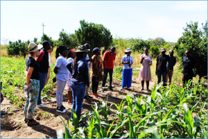 Zimbabwe &ndash; Kenya country exchange: A learning opportunity to foster agroecological transitions