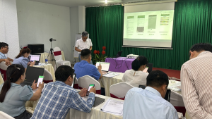 Scaling RiceMoRe: Revolutionizing rice production monitoring in the South Central Coast of Vietnam