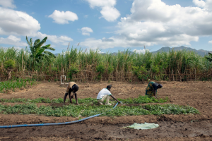 The Nation: Why we need to invest in sustainable food systems