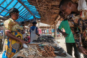 OHRECA fellows reach the finals of the 2024 Transformative Research Challenge with innovative proposal on wild meat