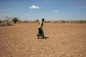 Somalia: Drought, conflict and high food prices risk pushing 4.4 million people into hunger, the Federal Government of Somalia and UN warn