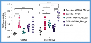 Treatment of influenza and SARS-CoV-2 infections via mRNA-encoded Cas13a in rodents