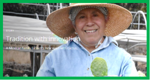 Tradition and innovation: the success of a family farmer`s cactus cookies
