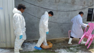 One year on, close to 5 million pigs lost to Asia`s swine fever outbreak