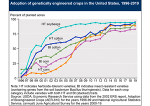 92% Cotton, 90% Corn Areas in the US Produced with GE Seeds