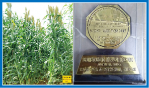 Forage sorghum hybrid hailed as a landmark cultivar in india