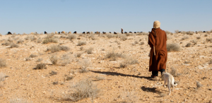 Funds from Sweden to help farmers adapt to climate change