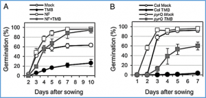 A Raf-like kinase is required for smoke-induced seed dormancy in Arabidopsis thaliana