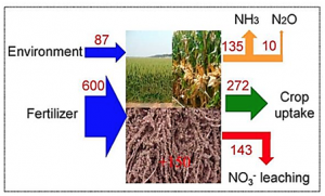 A steady-state N balance approach for sustainable smallholder farming
