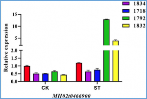 Quantitative Trait Locus Mapping of Salt Tolerance in Wild Rice Oryza longistaminata