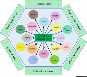 Agricultural biotechnology for sustainable food security