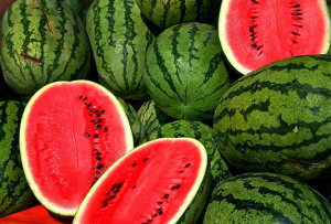 Integrated analysis of biparental and natural populations reveals CRIB domain-containing protein underlying seed coat crack trait in watermelon