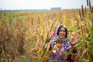 India: New plasma technology promises hope to millions of dryland farmers