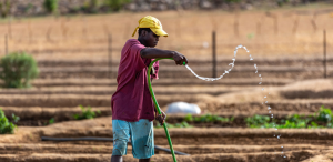 Future proofing farming for youth - episode 47