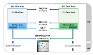 Portability of genomic predictions trained on sparse factorial designs across two maize silage breeding cycles