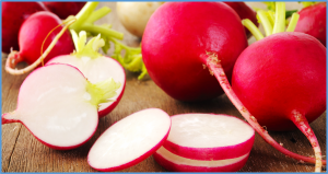 A novel SNP within the Rsa10025320 gene is highly associated with hollowness in red-skinned radish fleshy roots