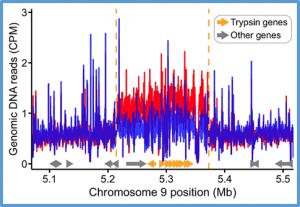 Mismatch between lab-generated and field-evolved resistance to transgenic Bt crops in Helicoverpa zea