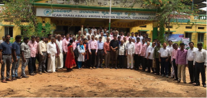 Project saffal empowers smallholder farmers to cope with fall armyworm