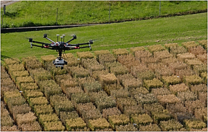 Inner Workings: Crop researchers harness artificial intelligence to breed crops for the changing climate