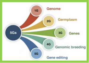 5Gs for Crop Genetic Improvement
