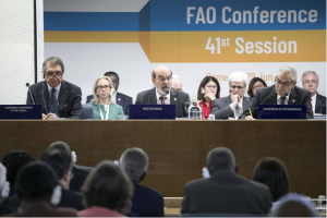 Consensus, partnerships and teamwork propel FAO to future
