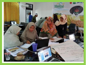 Smarter planning for better planting: building capacity for WeRise technology to help rice farmers increase productivity and income