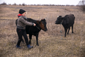 FAO launches a $150 million Emergency and Early Recovery Response Plan for Ukraine to support war-affected rural communities