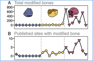 No sustained increase in zooarchaeological evidence for carnivory after the appearance of Homo erectus