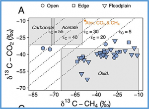 Coupled CH4 production and oxidation support CO2 supersaturation in a tropical flood pulse lake (Tonle Sap Lake, Cambodia)