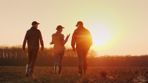 Agri Coalitions Offer Suggestions for US Biotech Framework