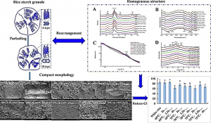Multi-scale structure characterization and in vivo digestion of parboiled rice