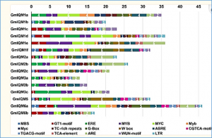 Genome-wide identification and analysis of the IQM gene family in soybean