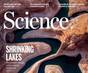 A G&gamma; protein regulates alkaline sensitivity in crops