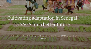 Cultivating adaptation in Senegal: a SAGA for a better future
