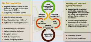 Transforming Soil Health in West Africa: A New Fertilizer and Soil Health Hub Takes Root in West Africa