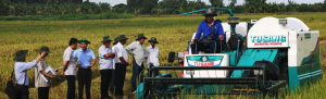 Vietnam`s 1-Million Hectare Rice Program shows promising results