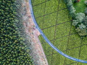 CGIAR Foresight Initiative: New online training materials on economic modeling