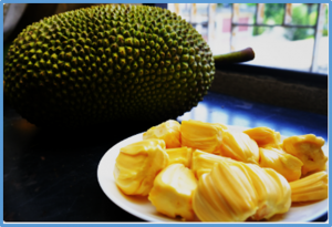 A jack of all fruits
