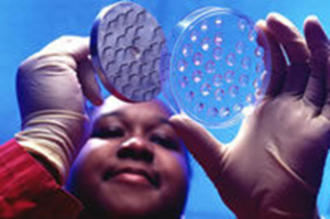 Biotech Stacks Adoption Continues to Increase Globally