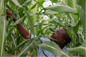The new MOPAN report includes some old news about CGIAR