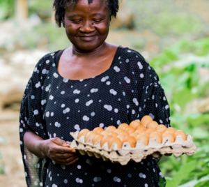How chickens are providing hope for crisis-hit communities in Cameroon
