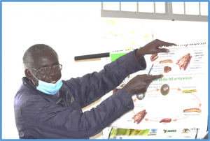 Ugandan Farmers Want Bt Maize to Address Fall Armyworm Challenge