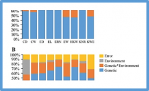 A combination of linkage mapping and GWAS brings new elements on the genetic basis of yield-related traits in maize across multiple environments